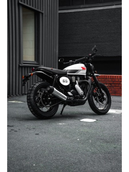 BSA B65 Scrambler - ARRIVING Summer 2025